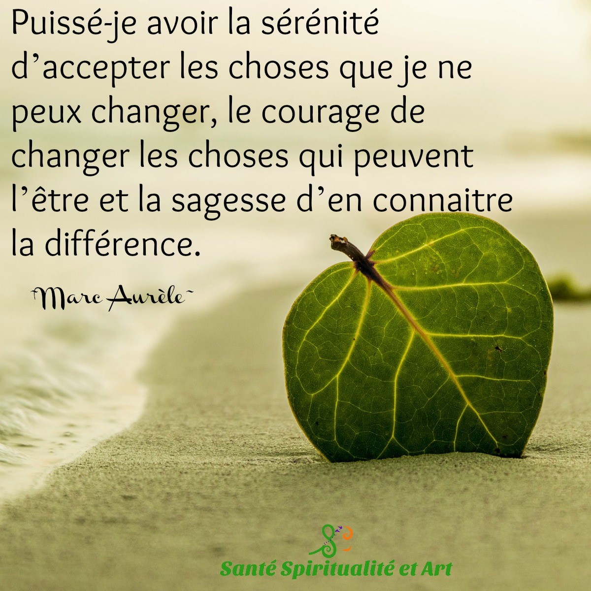 Citations Pensees Positives Archives Mily Robin